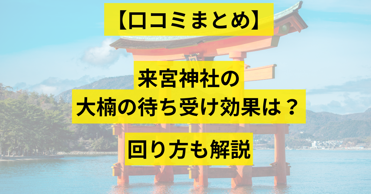 来宮神社の大楠の待ち受け効果画像